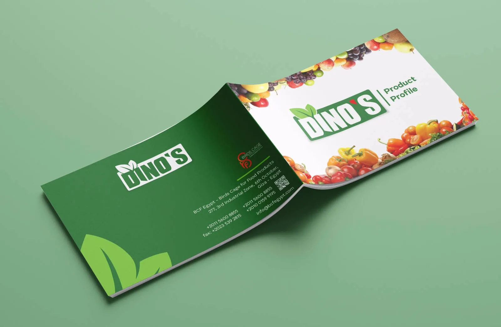 creative company profile design -giraffe-eg